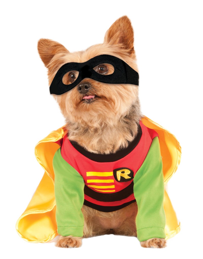 Rubies Teen Titans: Robin Pet Costume for Dogs or Cats, Large - Image 2